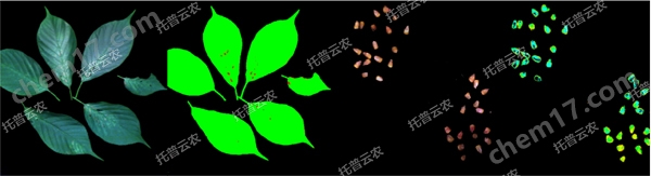 高光譜植物數字采集分析系統(tǒng)