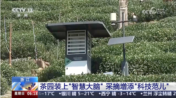 央視、人民網(wǎng)等權威媒體聚焦西湖龍井：托普云農(nóng)“黑科技”點亮千年茶香智變之路